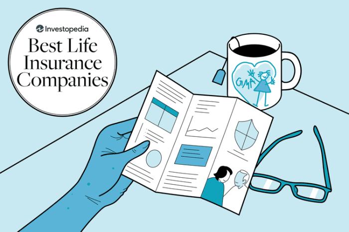 Best Life Insurance Companies for People Over 50