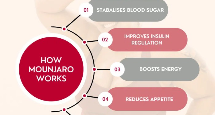 Best Weight Loss Plan For Ozempic, Wegovy or Mounjaro - Dr. Richard ...